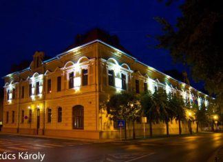 Eine außerordentliche Gemäldeausstellung in Kiskunhalas – Kiskunhalasi Őszi Tárlat 2021