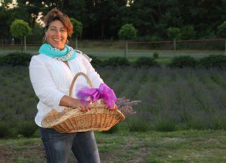 Lavendel — nicht nur in Tihany!