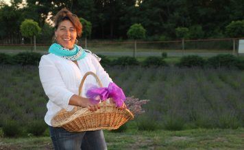 Lavendel — nicht nur in Tihany!