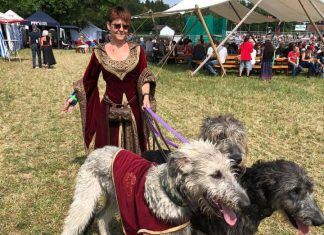 „Hunde aus dem Mittelalter“ — Ein nettes Ehepaar stellt sich vor