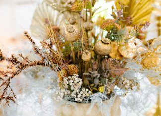 Megnyitotta kapuit az NDoor stúdió – Das NDoor-Studio hat seine Türen geöffnet