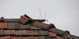 Lajoschs Geheimnisse: Handwerker für „komplizierte Arbeiten am und im Haus“