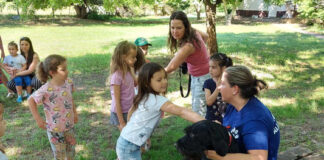 Einladung zu Stammtischen + Vortrag über das Tierheim in Kiskunhalas! / Előadás a kiskunhalasi állatotthonról