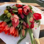 Ungarndeutsche Volkstraditionen – Magyarországi német hagyományok