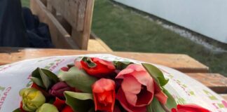 Ungarndeutsche Volkstraditionen – Magyarországi német hagyományok