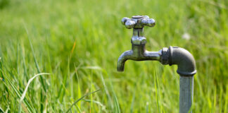 Lajoschs Geheimnisse: Das Wasser ist aus meinem Brunnen verschwunden!