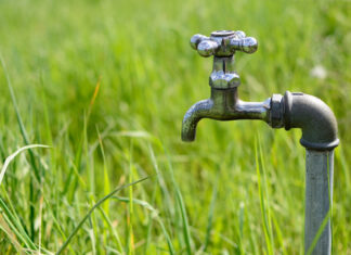 Lajoschs Geheimnisse: Das Wasser ist aus meinem Brunnen verschwunden!