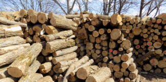Hartes Brennholz für 30.000 HUF in Ungarn – auch den Ausländern!