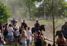 Wildromantisches Pusztaprogramm am Donauufer am Pfingstwochenende