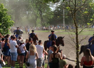 Wildromantisches Pusztaprogramm am Donauufer am Pfingstwochenende