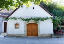 Einladung zu einer zweisprachigen Weintour — Bortúra két nyelven