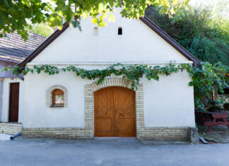 Einladung zu einer zweisprachigen Weintour — Bortúra két nyelven