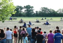 Wieviel Pferde können gleichzeitig zum Liegen gebracht werden?