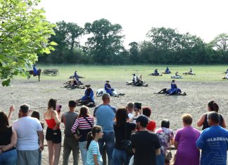 Wieviel Pferde können gleichzeitig zum Liegen gebracht werden?