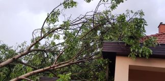 „Was passiert, wenn Dir etwas passiert?“