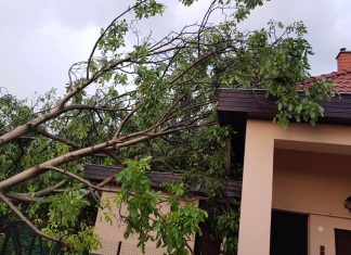 „Was passiert, wenn Dir etwas passiert?“