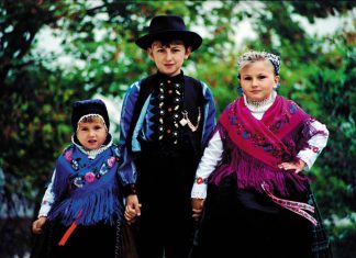 Volkszählungsergebnisse in Ungarn