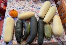 Gartenarbeit — ein Neuanfang im Leben von deutschen Zuwanderern 1