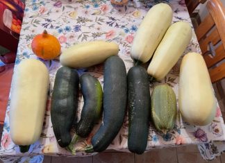 Gartenarbeit — ein Neuanfang im Leben von deutschen Zuwanderern 1