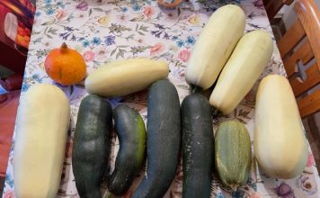 Gartenarbeit — ein Neuanfang im Leben von deutschen Zuwanderern 1