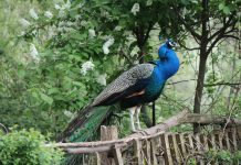 Zwei Lebensweisheiten fürs Wochenende!