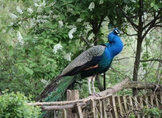 Zwei Lebensweisheiten fürs Wochenende!