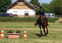 Ein Tag im Zeichen der Pferde in Nagykarácsony am 10. Mai
