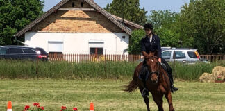 Ein Tag im Zeichen der Pferde in Nagykarácsony am 10. Mai