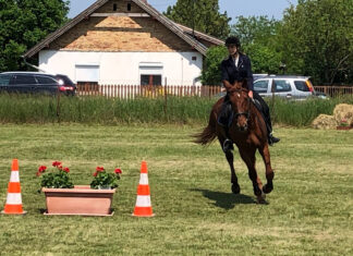 Ein Tag im Zeichen der Pferde in Nagykarácsony am 10. Mai