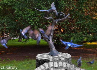 „Fest auf dem halben Weg“ — „Félúton“ in Kiskunhalas