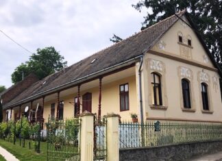 Wollen Sie ungarndeutsche Schriftsteller und Künstler kennenlernen?