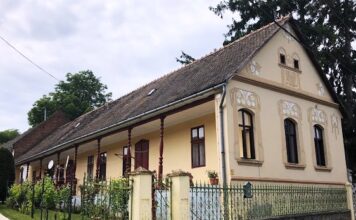 Wollen Sie ungarndeutsche Schriftsteller und Künstler kennenlernen?