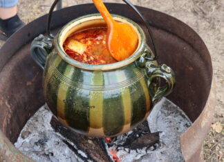 Winzerfest mit Kochwettbewerb in Bócsa