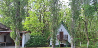 Waldbauernhof – Erdei tanya Izsák mellett