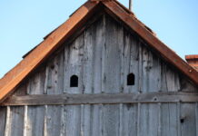 Lajoschs Geheimnisse: Hauskauf mit Betrug