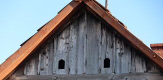 Lajoschs Geheimnisse: Hauskauf mit Betrug