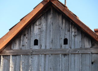 Lajoschs Geheimnisse: Hauskauf mit Betrug