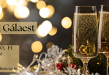 Silvesterparty im Hotel Csipke zu Kiskunhalas! – Szilveszteri vacsoraest zenével a kiskunhalasi Csipke Hotelben!