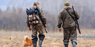 Einfuhr von (Jagd)Waffen nach Ungarn