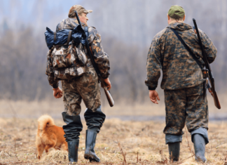 Einfuhr von (Jagd)Waffen nach Ungarn