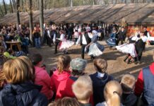 Am Samstag, den 15. November: Schweineschlachtfest in Bócsa