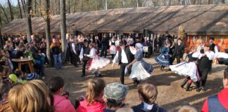 Am Samstag, den 15. November: Schweineschlachtfest in Bócsa