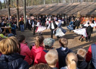 Am Samstag, den 15. November: Schweineschlachtfest in Bócsa