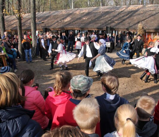 Am Samstag, den 15. November: Schweineschlachtfest in Bócsa