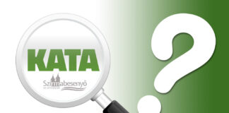 Pauschalsteuer für Unternehmer