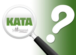 Pauschalsteuer für Unternehmer