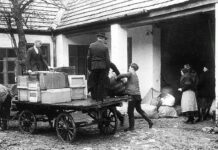 Die Tragödie der Ungarneutschen in den Nachkriegsjahren 1945-1948