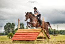 Reitshow / Lovas Show in Berhida