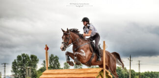 Reitshow / Lovas Show in Berhida