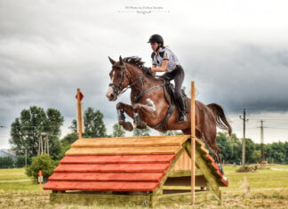 Reitshow / Lovas Show in Berhida